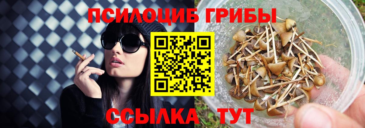 Мирный  Псилоцибиновые грибы ЛСД  цены   Вход с VPN 