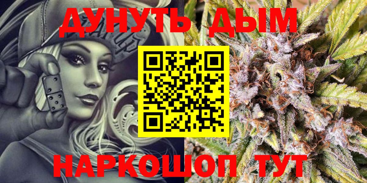 Бошки Шишки планчик Мирный